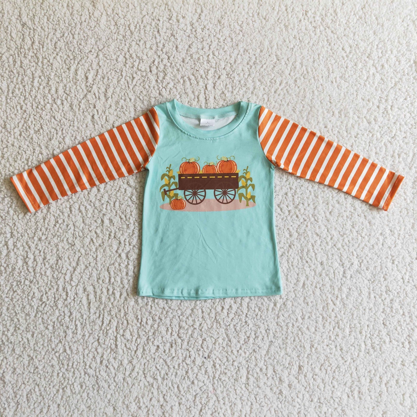 Boys Fall Pumpkin T-shirts Top BT0030